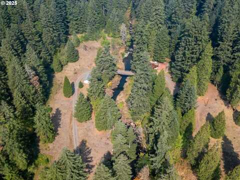 50522 HILLS CREEK RD, Oakridge, OR 97463