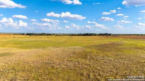 Tract 3 Bynum Road, Floresville, TX 78114