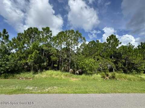 7022 Artesia Avenue, Grant-Valkaria, FL 32949