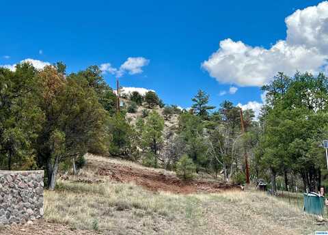 McGinty Place lot: 34, Lake Roberts, NM 88049