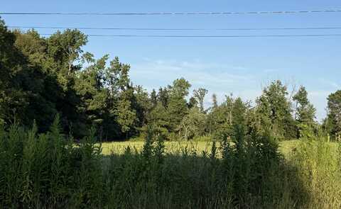 2AC Blevins Rd, Falkville, AL 35622