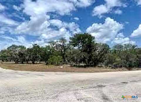 19 Post Oak Branch, Inez, TX 77968