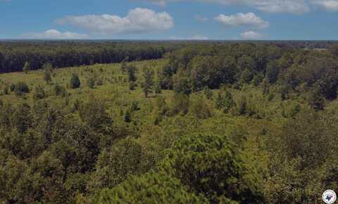 0 County Road 4223, Simms, TX 75574