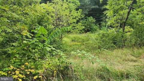 WALNUT, CASSVILLE, PA 16623