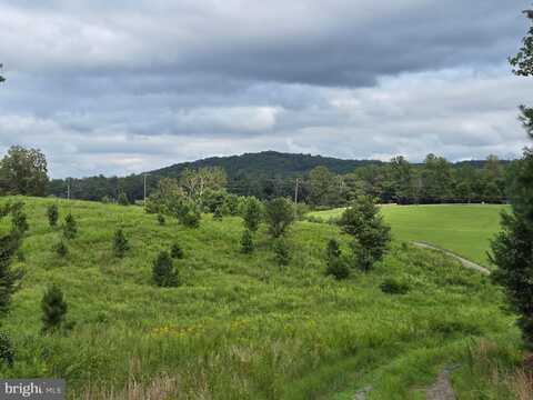 0 WEAVER HOLLOW ROAD, BANCO, VA 22711