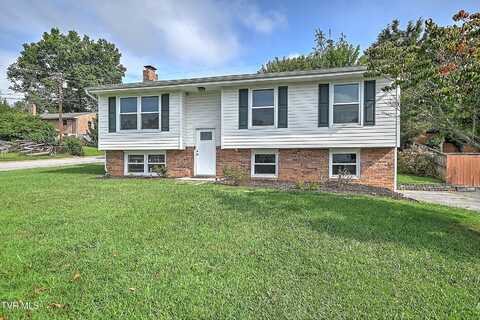 1075 Jessie Lane, Church Hill, TN 37642