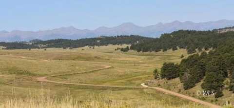 5950 Eagle Springs Rd, Westcliffe, CO 81252