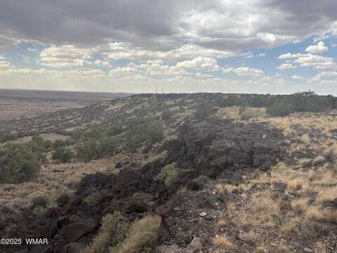 9223 Golden Horse Lane, Snowflake, AZ 85937