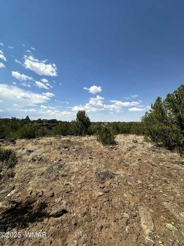 1776 Schad Place, Show Low, AZ 85901