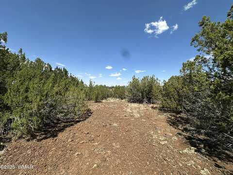 1787 Schad Place, Show Low, AZ 85901