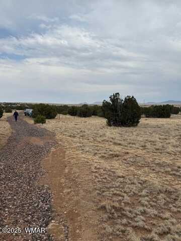 78 County Road 8010, Concho, AZ 85924