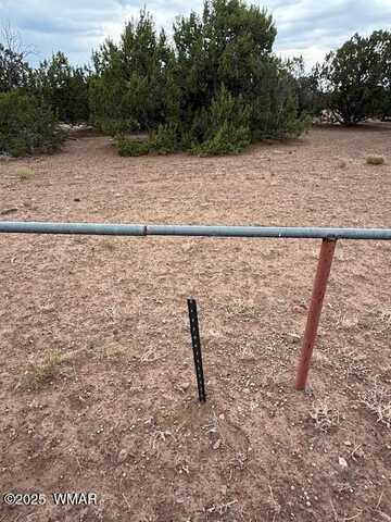 31 County Road 3044, Concho, AZ 85924
