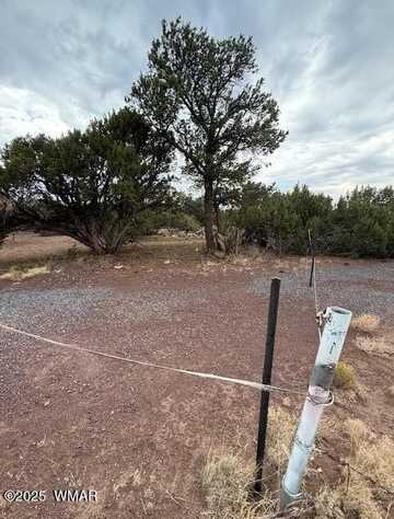 35 County Road 3044, Concho, AZ 85924