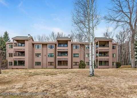 313 VINE Street, Aspen, CO 81611