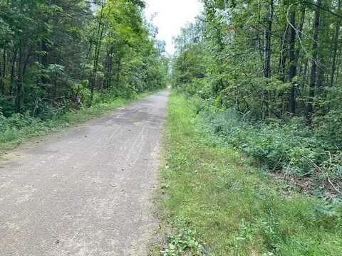 6433 Old 27, Vanderbilt, MI 49795
