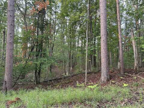V/L W Pinecrest Circle lot: 6 & 7, Hillman, MI 49746