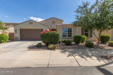 3681 E NARROWLEAF Drive, Gilbert, AZ 85298