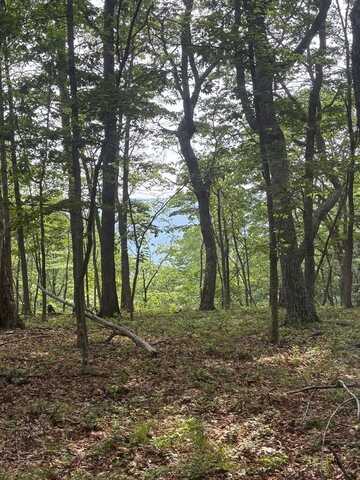 Bob Plumley Road, SHADY SPRING, WV 25918