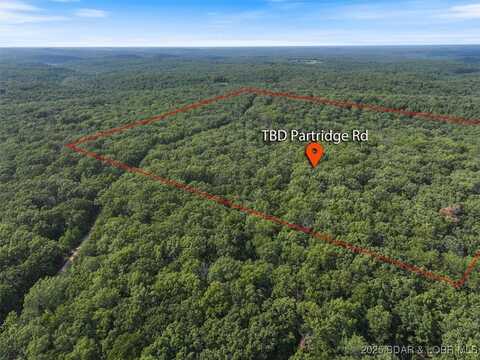 40 Acres Partridge Drive, Climax Springs, MO 65324