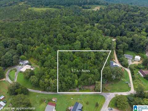 0 BAKER DRIVE, ALLGOOD, AL 35013