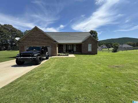86 SUNSET ALICE LANE, ANNISTON, AL 36207