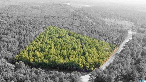 520 SWEET APPLE ROAD, PELL CITY, AL 35128