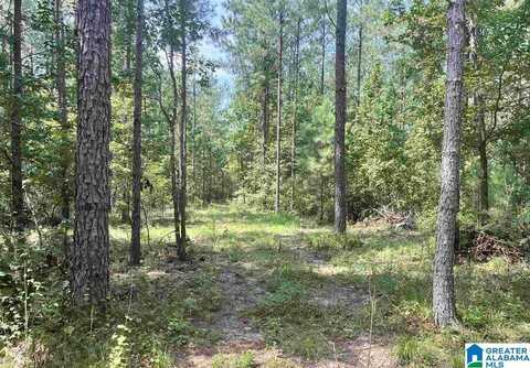 520 SWEET APPLE ROAD, PELL CITY, AL 35128