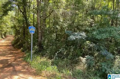 0 county rd 458 COUNTY ROAD, CLANTON, AL 35046