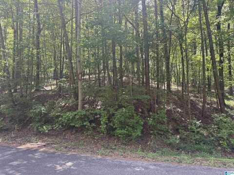 85 MOHAWK COURT, OHATCHEE, AL 36271