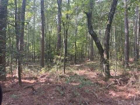 000 Opitz, Traskwood, AR 72015