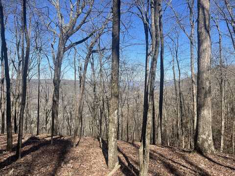 80 High Point Lane, Jasper, TN 37347