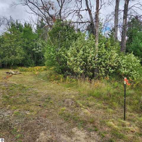 6324 W PINE POINT ROAD, GRAYLING, MI 49738