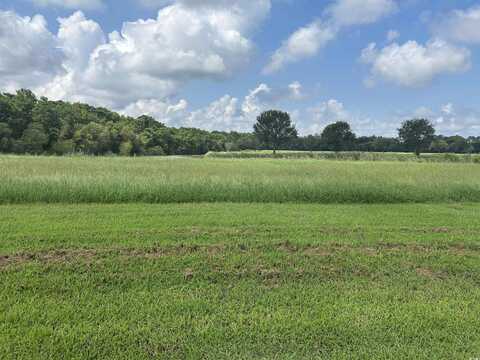 TBD Ferry House Point, Georgetown, SC 29440
