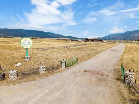 31700 US Highway 24, Buena Vista, CO 81211