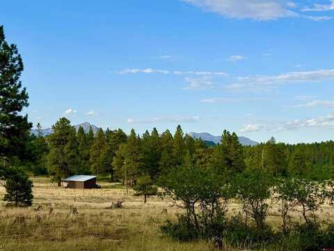 532 Old Sawmill Circle, Pagosa Springs, CO 81147