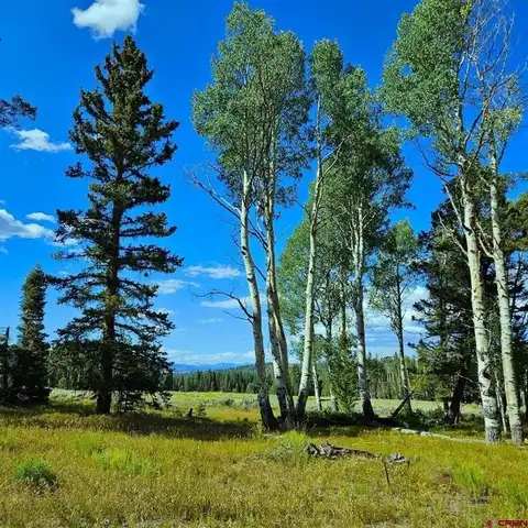 284 Aspen Trail, Cimarron, CO 81220