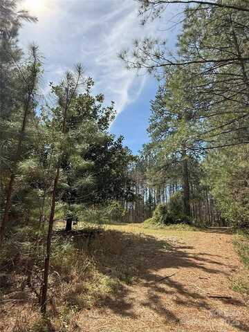656 Skyline Drive, Chester, SC 29706