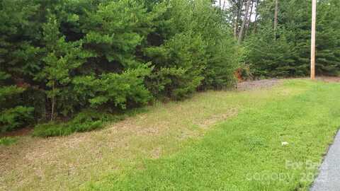 Brighton Drive, Rutherfordton, NC 28018