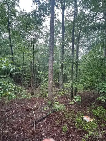 90 Adirondack Trail unit: 88, Nebo, NC 28761