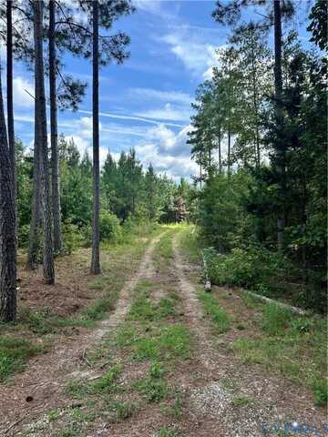 Loman Road, Meherrin, VA 23954