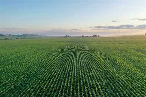 75th Street, Blairstown, IA 52209