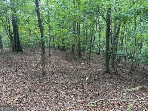 140 Joe Green, Canton, GA 30114