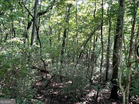 1502 Raspberry, Clarkesville, GA 30523