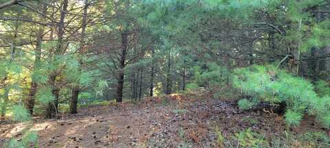 N Juniper Street, Mears, MI 49436