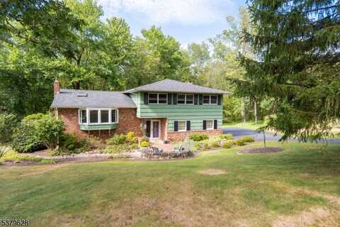 23 Dogwood Trl, Randolph, NJ 07869