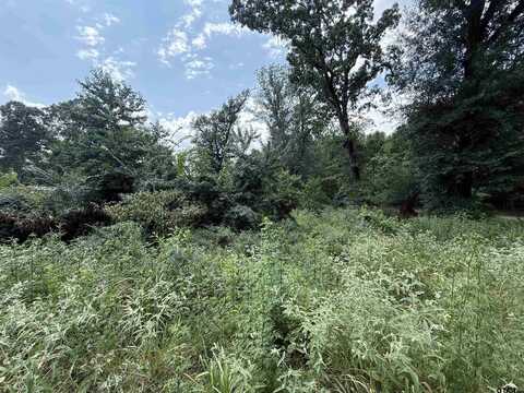 TBD MERIGALE DR, Troup, TX 75789