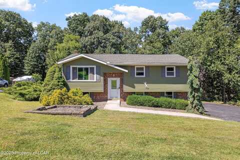 36 Briar Creek Road, Plains, PA 18702