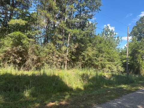 0 Palestine Loop, Oak Vale, MS 39656
