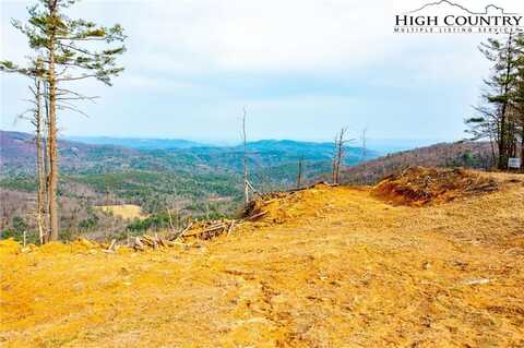Tbd Phillips Gap, Purlear, NC 28665