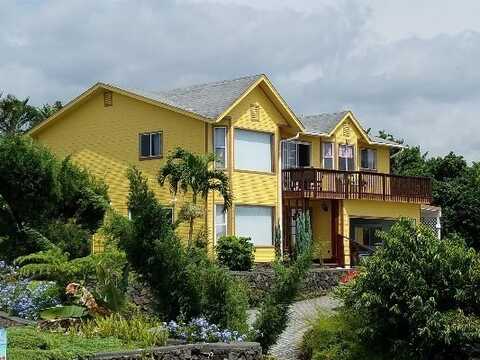 94-5869 KAU WELA PL, Naalehu, HI 96772